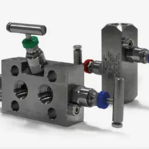 Alloy 20 Manifold Valve